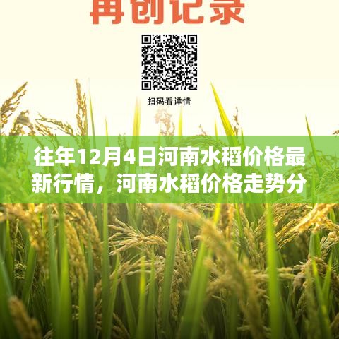 往年12月4日河南水稻市場(chǎng)行情及價(jià)格走勢(shì)深度分析
