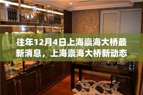 上海崇海大橋新動(dòng)態(tài)，與自然美景的邂逅之旅揭秘最新消息