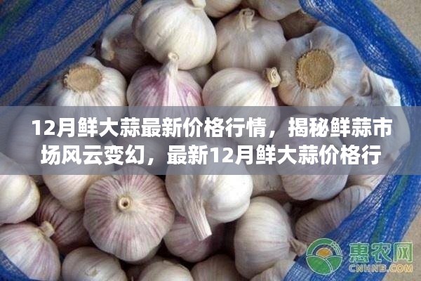 揭秘最新鮮大蒜行情，12月鮮大蒜價格解析與市場風(fēng)云變幻