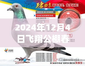 揭秘最新公告，飛翔公棚春棚更新動(dòng)態(tài)，關(guān)注所有你關(guān)心的內(nèi)容