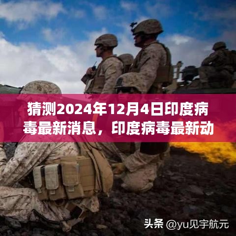 2024年12月4日印度病毒最新動(dòng)態(tài)與預(yù)測洞察