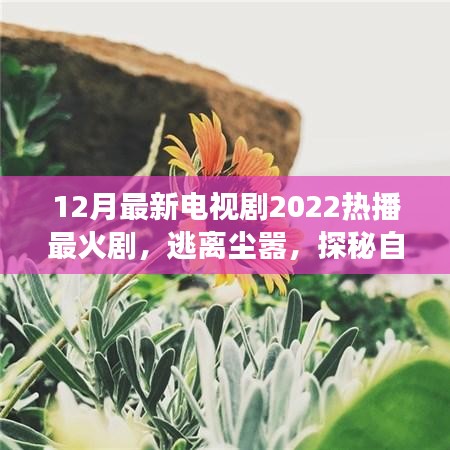心靈之旅，逃離塵囂，探秘自然美景——2022年熱播電視劇最新盤(pán)點(diǎn)