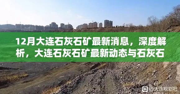 大連石灰石礦最新動態(tài)與產(chǎn)品特性深度解析，12月消息速遞
