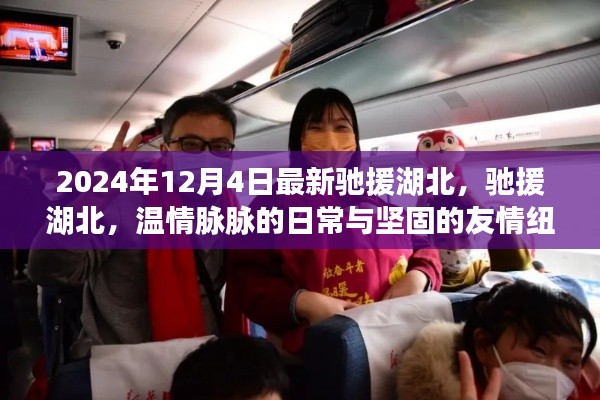 馳援湖北，溫情脈脈的日常與堅(jiān)固友情紐帶，2024年最新行動(dòng)報(bào)道