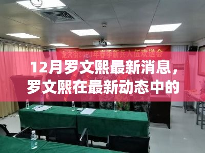 羅文熙最新動態(tài)揭秘，深度解讀與觀點闡述