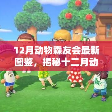 揭秘十二月動(dòng)物森友會(huì)最新圖鑒，三大看點(diǎn)深度解析與全面指南