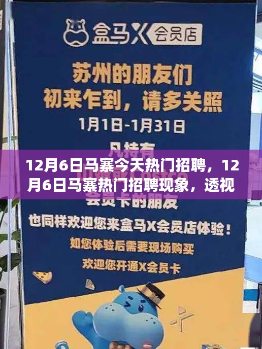 12月6日馬寨熱門招聘現(xiàn)象深度解析，利弊與個(gè)人觀點(diǎn)透視