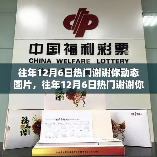 往年12月6日熱門謝謝你動態(tài)圖片全解析與介紹