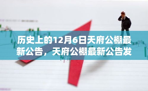 天府公棚最新公告發(fā)布，解讀歷史事件的行動(dòng)指南與天府公棚最新動(dòng)態(tài)回顧