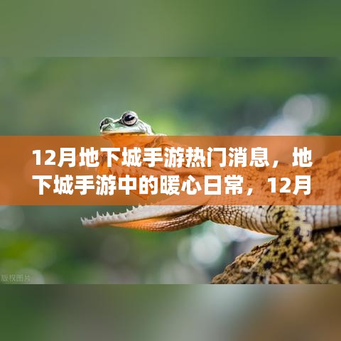 12月地下城手游，暖心日常與友情陪伴的時(shí)光
