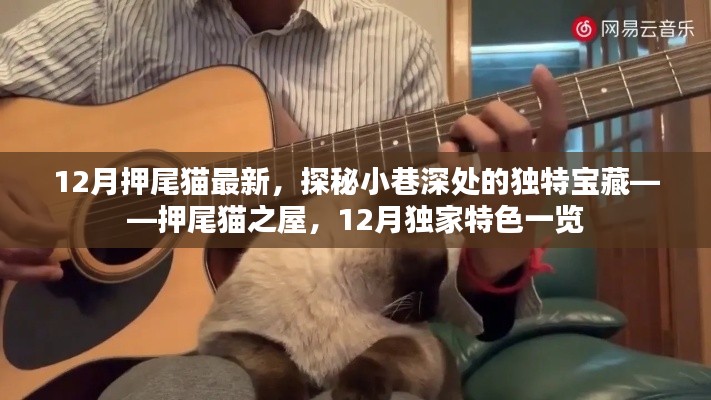 探秘押尾貓之屋，小巷深處的獨特寶藏，揭秘十二月獨家特色