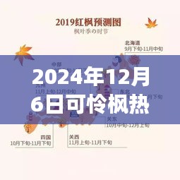 紀(jì)念特殊時刻，可憐楓熱背后的故事與影響——2024年12月6日時光印記