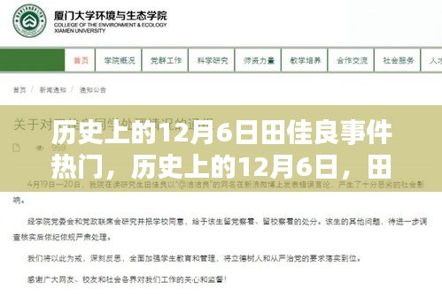 揭秘歷史上的田佳良事件，背后的故事與深遠(yuǎn)影響