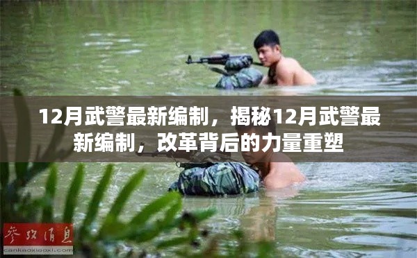 揭秘，12月武警最新編制與力量重塑背后的改革之路