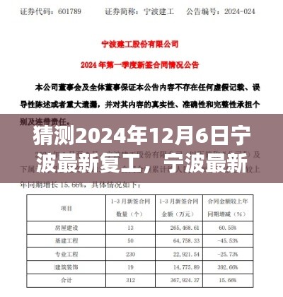 寧波最新復(fù)工進(jìn)展預(yù)測與深度分析（2024年12月6日版）