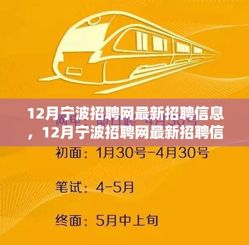 12月寧波招聘網(wǎng)最新招聘信息全面解析與求職全攻略