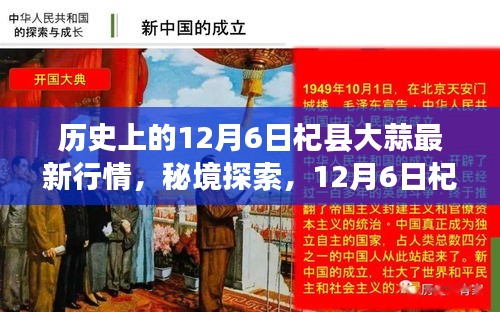 秘境探索，揭秘12月6日杞縣大蒜行情與小巷深處的蒜香特色小店
