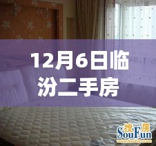 揭秘臨汾二手房市場(chǎng)，熱門(mén)房源探秘與小巷深處的隱藏寶藏