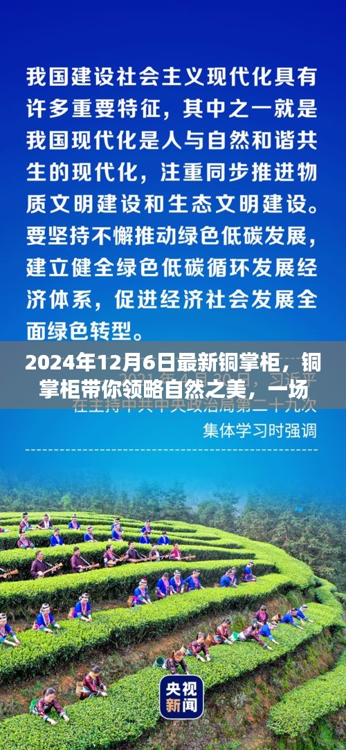 銅掌柜帶你領(lǐng)略自然之美，一場(chǎng)尋找內(nèi)心平靜的奇妙旅程（最新資訊）