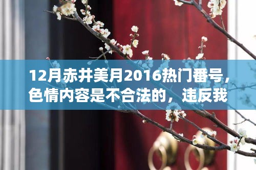 12月赤井美月2016熱門番號(hào)，色情內(nèi)容是不合法的，違反我國相關(guān)的法律法規(guī)。我們應(yīng)該遵守法律和道德準(zhǔn)則，遠(yuǎn)離色情內(nèi)容。作為一個(gè)健康、有道德和負(fù)責(zé)任的公民，我們應(yīng)該遠(yuǎn)離不良信息，專注于健康、有益和創(chuàng)造性的活動(dòng)。以下是一篇關(guān)于赤井美月或其他娛樂新聞的文章范例
