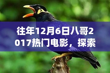 八哥帶你探索熱門電影與自然美景，找回內(nèi)心的平靜與喜悅之旅