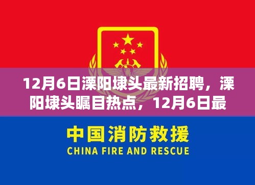 12月6日溧陽(yáng)埭頭最新招聘信息揭秘，矚目熱點(diǎn)崗位一網(wǎng)打盡