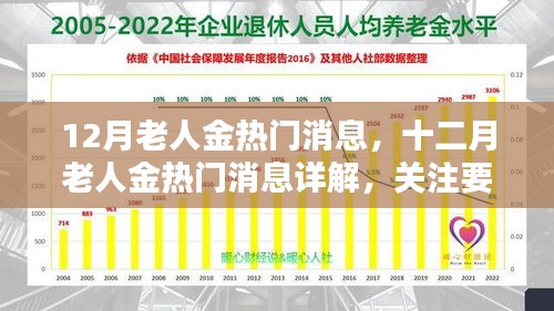 十二月老人金熱門(mén)消息詳解，關(guān)注要點(diǎn)、趨勢(shì)與科普全解析