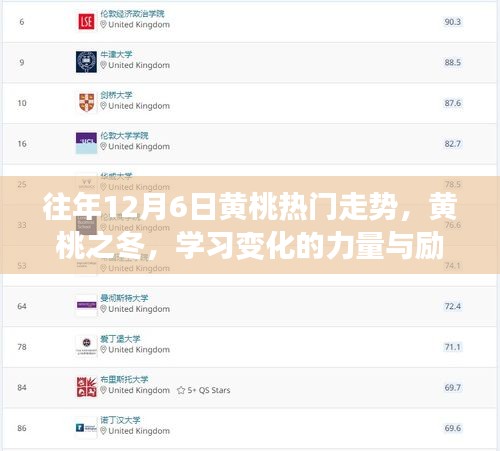 黃桃之冬，揭秘歷年熱門走勢，勵志學習之旅開啟的力量與變化