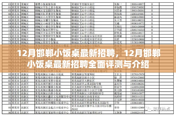 12月邯鄲小飯桌最新招聘全面解析與評測