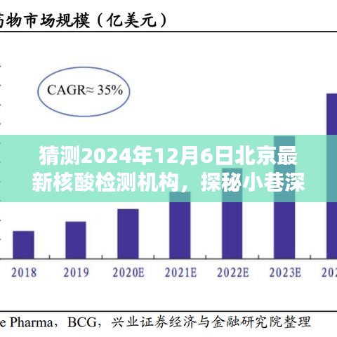 探秘北京隱藏版核酸檢測機(jī)構(gòu)，2024年12月6日最新核酸檢測寶藏揭秘