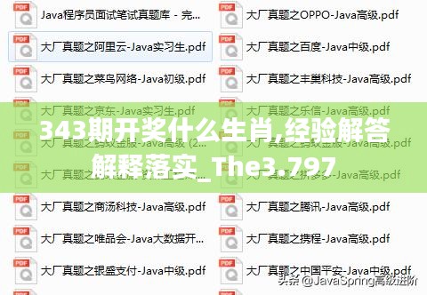 343期開獎什么生肖,經(jīng)驗解答解釋落實_The3.797
