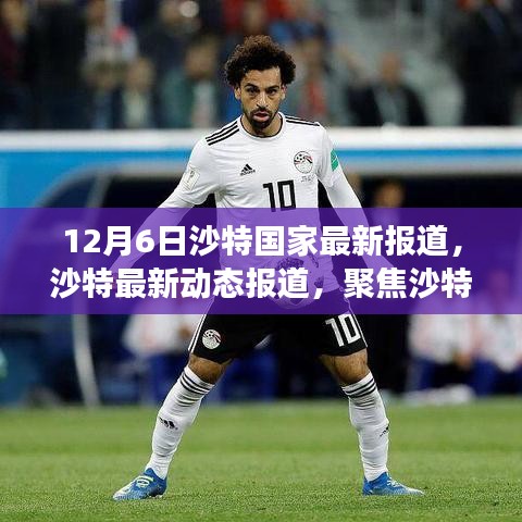 沙特國家發(fā)展三大看點聚焦，最新動態(tài)報道與深度解讀（沙特最新報道）