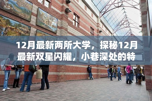 探秘最新雙星閃耀，揭秘十二月新大學(xué)與小巷特色小店中的隱藏時(shí)光