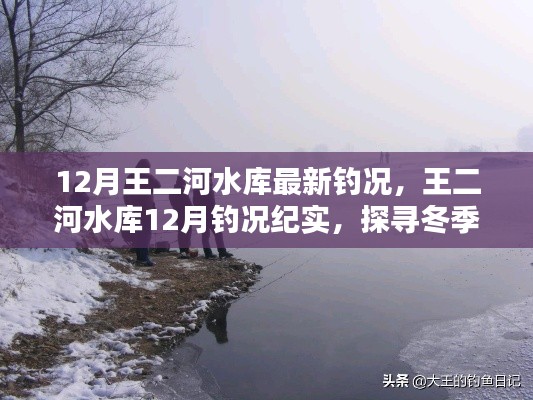 探尋冬季垂釣奧秘與魅力，王二河水庫12月釣況紀實