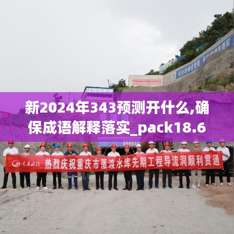 新2024年343預(yù)測開什么,確保成語解釋落實(shí)_pack18.672