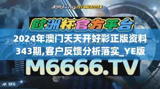 2024年澳門天天開好彩正版資料343期,客戶反饋分析落實(shí)_YE版9.370