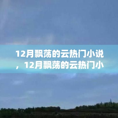 全面測評與介紹，12月飄蕩的云熱門小說