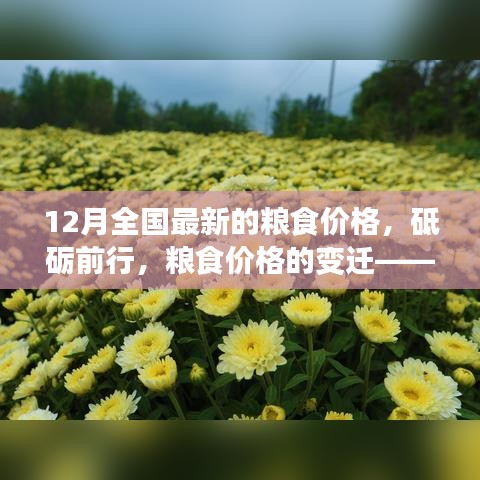砥礪前行見證變遷，12月全國最新糧食價格及其背后的勵志故事。