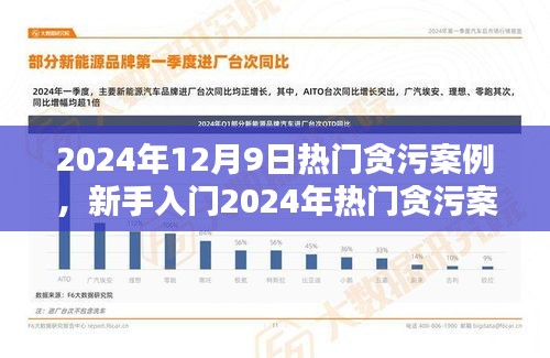 新手入門指南，深入了解貪污案例調(diào)查流程與技能學(xué)習(xí)——以2024年熱門貪污案例為例