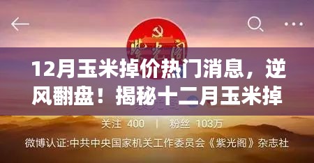 揭秘十二月玉米掉價(jià)背后的故事，逆風(fēng)翻盤(pán)，成就無(wú)限可能！