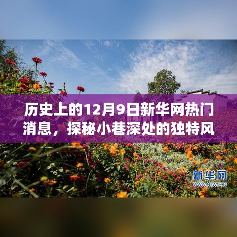 探秘小巷深處的獨(dú)特風(fēng)味，歷史上的十二月九日新華網(wǎng)熱門(mén)消息深度解析
