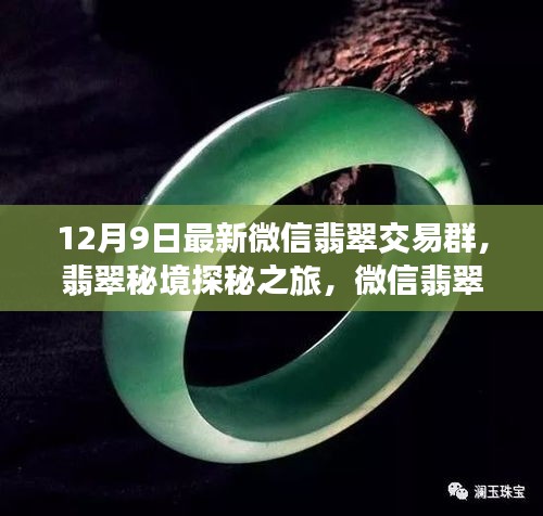 翡翠秘境探秘之旅，微信交易群新啟程與自然美景共舞