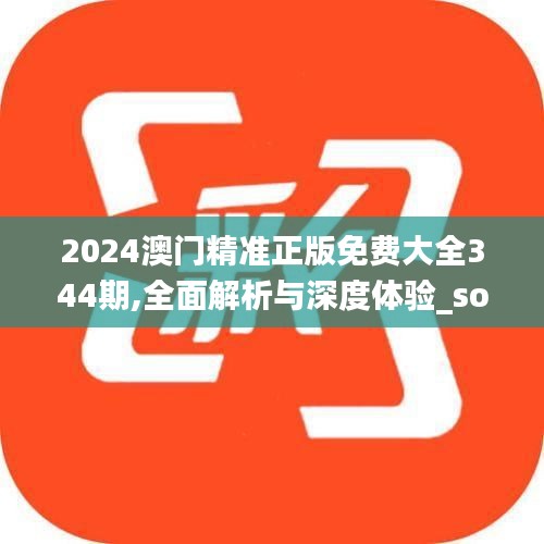 2024澳門精準(zhǔn)正版免費大全344期,全面解析與深度體驗_soft6.128