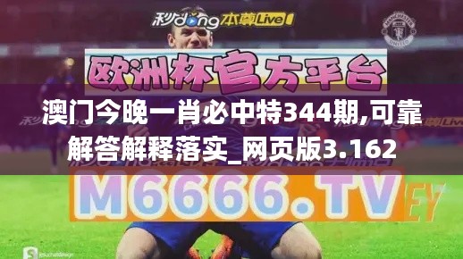 澳門今晚一肖必中特344期,可靠解答解釋落實(shí)_網(wǎng)頁(yè)版3.162