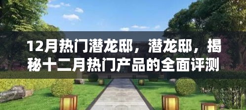 潛龍邸揭秘，十二月熱門產(chǎn)品全面評測與深度介紹