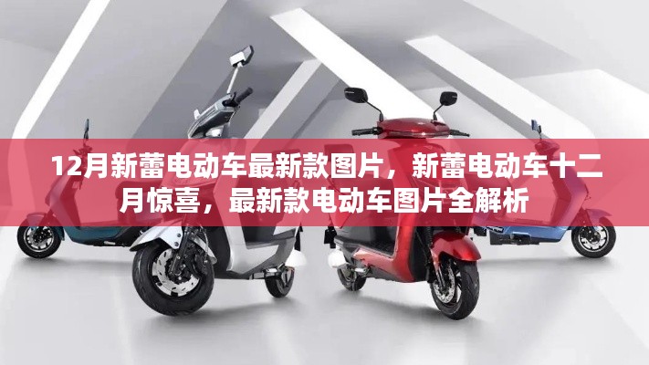 12月新蕾電動車最新款圖片全解析，新蕾十二月驚喜，領(lǐng)略最新款電動車風(fēng)采