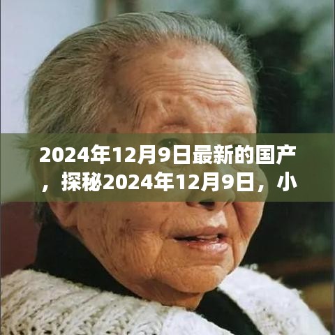 探秘隱藏瑰寶，特色小店奇遇之旅在2024年12月9日揭曉