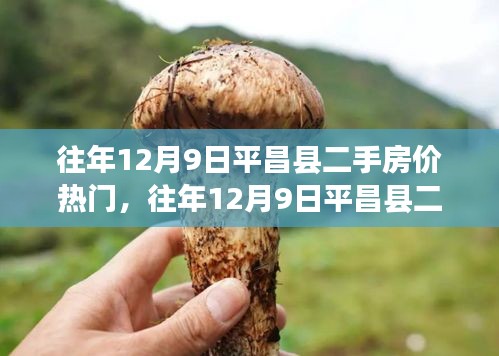 往年12月9日平昌縣二手房?jī)r(jià)解析，熱門趨勢(shì)與市場(chǎng)洞察