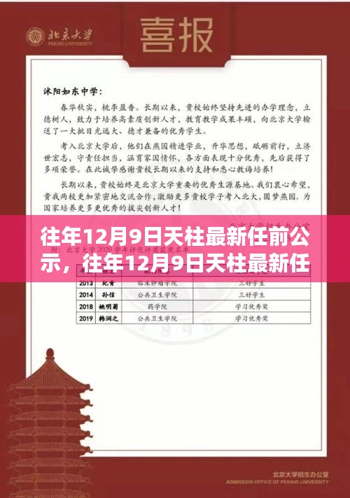 天柱最新任前公示詳解，流程步步為贏，助力輕松完成公示任務(wù)