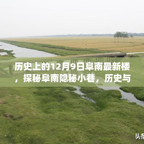 鳳毛麟角 第5頁